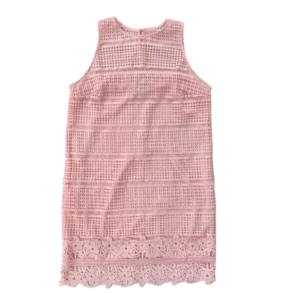 Abercrombie & Fitch Womens Sz Small Light Pink Sleeveless Lace Lined Shift Dress
